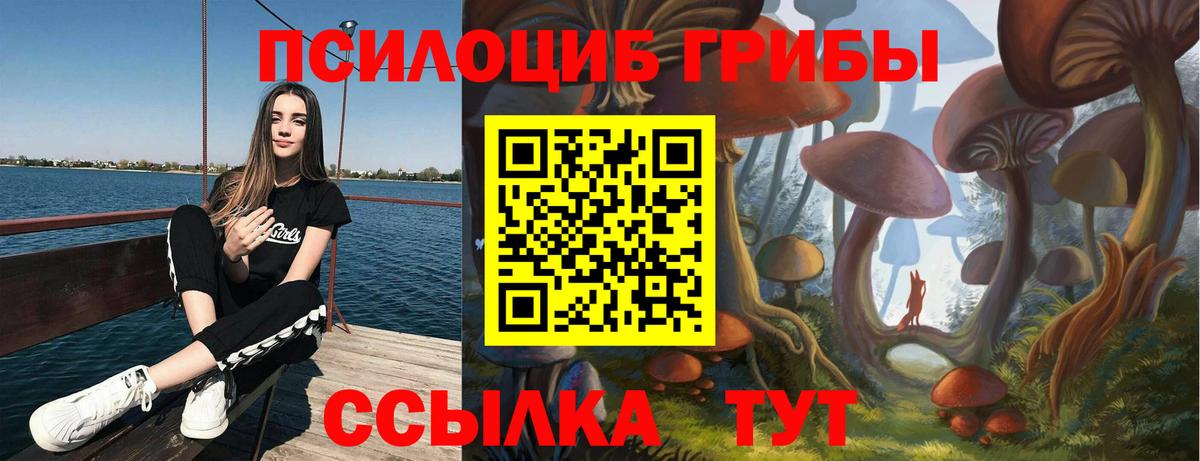 Галлюциногенные грибы прущие грибы Нефтеюганск