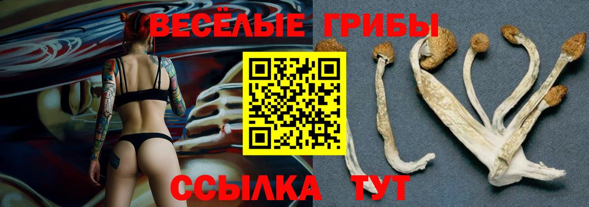 дарнет шоп  Псилоцибиновые грибы MAGIC MUSHROOMS  Вход с VPN  Нефтеюганск 