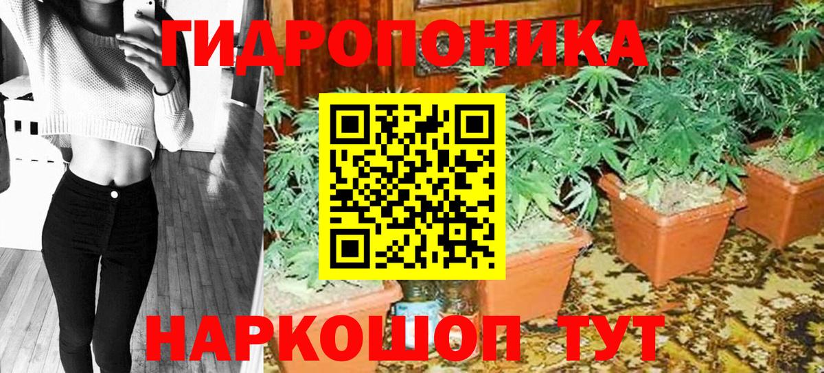 Нефтеюганск  Бошки марихуана конопля  Марихуана гибрид  Бошки марихуана сатива  Марихуана семена  Вход с VPN 